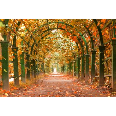 Fototapete PAPERMOON "Autumn Garden", bunt, B:4m L:2,6m, Vlies, Tapeten