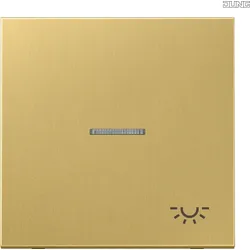 Jung Wippe Symbol LICHT Mess/clas für beleuchtbar Taster ME 2990 KO5L C