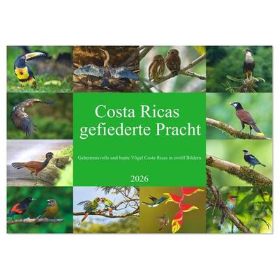 Costa Ricas gefiederte Pracht (Wandkalender 2026 DIN A3 quer), CALVENDO Monatskalender