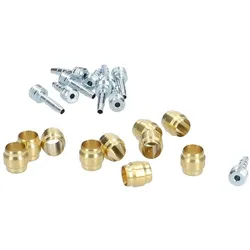 CAMPAGNOLO Olive & Insert-Pin EC-DB011 | 10 Stück