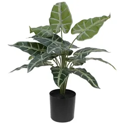 EUROPALMS Caladium, Kunstpflanze, 38cm