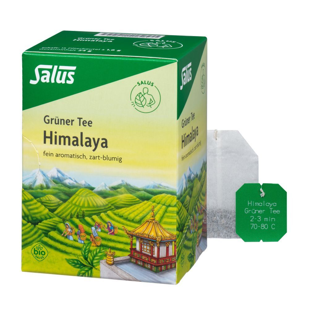 Gruener TEE Himalaya Salus Bio 15 St Filterbeutel