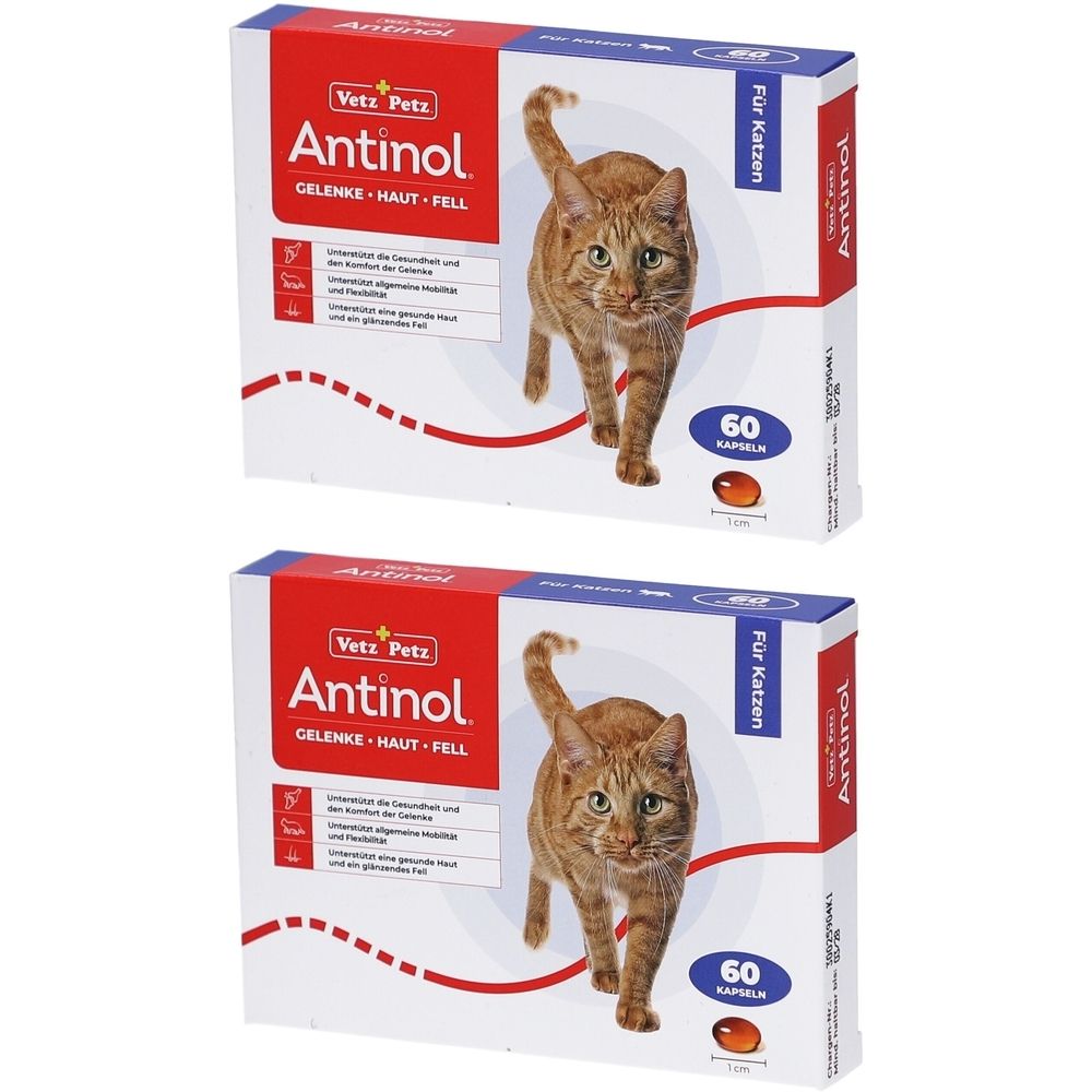 Antinol Katze, Packung mit 60 Tabletten x2 2x60 St Kapseln