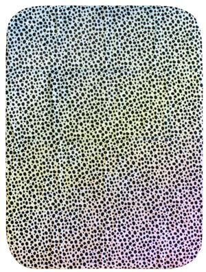 College Covers Cheetah Print Throw Blanket