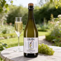 Divin alkoholfreie Weine  Divin Sauvignon Blanc Sparkling Blanc alkoholfreier Wein Sauvignon Blanc Frankreich