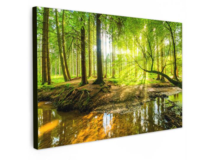MuchoWow Leinwandbild - Wald - Landschaft - Wasser - Bäume - Sonne - Grün - Natur - 120x80 - Kunstdruck, Textil, Kiefer, Abstrakt, Rechteckig, 120x80 cm, gerahmt, Bilder & Rahmen, Bilder, Wandbilder