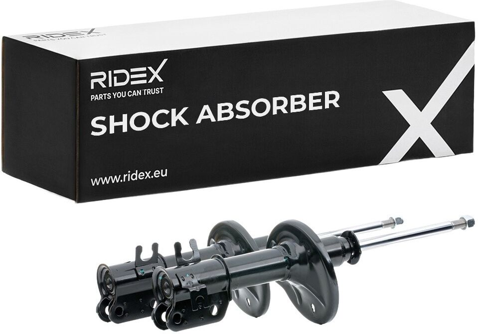 RIDEX 854S2191 Shock absorber