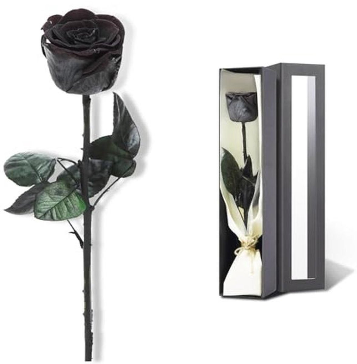 Geconserveerde rozen in het roze voor Valentijnsdag