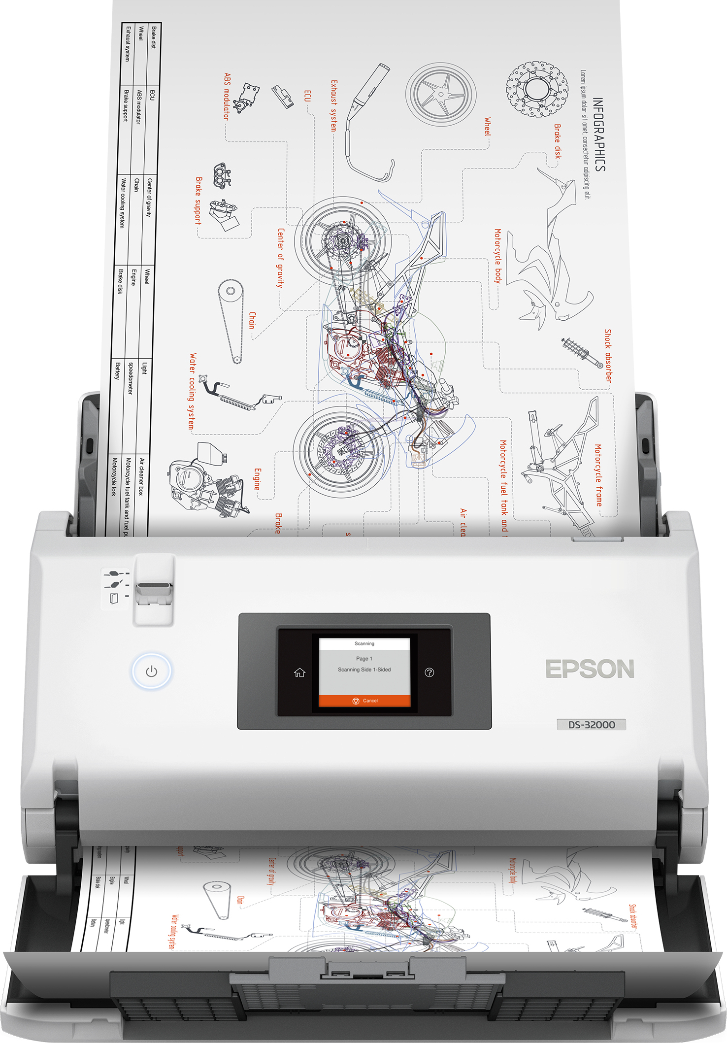 Epson WorkForce DS-32000, 304,8 x 5588 mm, 600 x 600 DPI, 30 Bit, 24 Bit, 10 Bit, 8 Bit