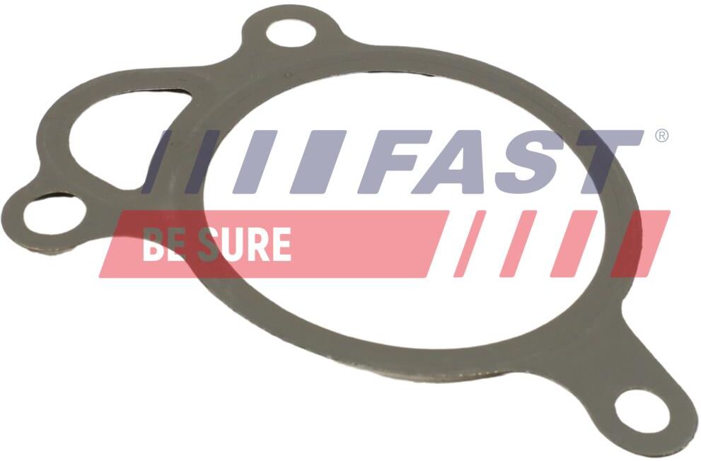 Fast Dichtung, Agr-Ventil Ft50619 Für Smart