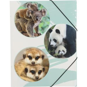 Pagna Zeichenmappe Cute 21721-15, Bären, A4, aus PP, 3 Einschlagklappen, Gummizug