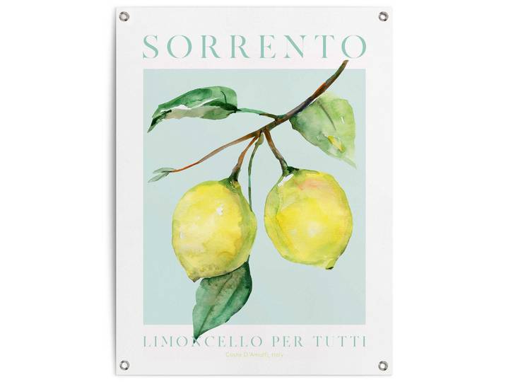 Poster REINDERS Lemon Portrait , gelb (farbe bild(er): gelb), B:60cm H:80cm T:0,1cm, Bilder, Poster, Garten - Obst - Sorrento - Italien - Gelb - Leinwand - 60x80 cm
