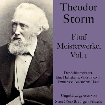 Theodor Storm: Fünf Meisterwerke, Vol. 1 - Theodor Storm, Audio, 9783754502211