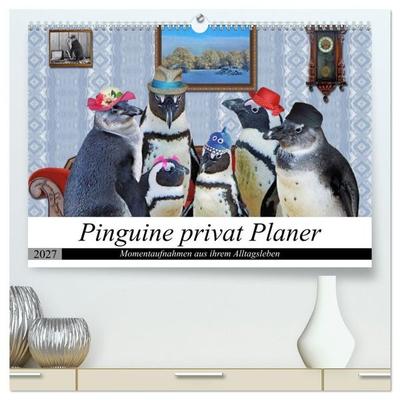 Pinguine privat Planer (hochwertiger Premium Wandkalender 2027 DIN A2 quer), Kunstdruck in Hochglanz