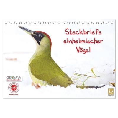 Steckbriefe einheimischer Vögel (Tischkalender 2026 DIN A5 quer), CALVENDO Monatskalender