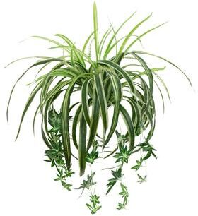 Nearly Natural 24-in UV Resistant Artificial Spider Bush (Indoor/Outdoor) - Set of 3