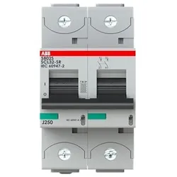 ABB Stotz S&amp;J Kurzschlussstrombegrenzer S802S-SCL32-SR