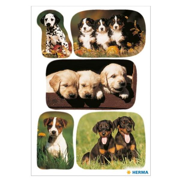 Herma Sticker Hunde (15 Sticker) (3528)
