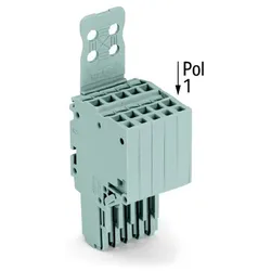 WAGO GmbH &amp; Co. KG 2-Leiter-Federleiste 2020-204/133-000