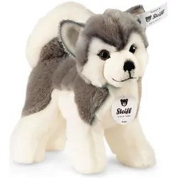 Steiff Bernie Husky weiss 17cm (17 cm)