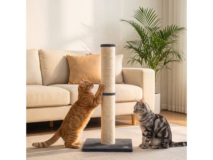 PawHut Griffoir Chat 80cm Sisal Gris Foncé Base Peluche