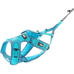 i-DOG X-Back Phoenix ALM (XXS, Hund, Allgemein, Hundesport), Halsband + Leine