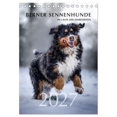 Berner Sennenhunde im Laufe der Jahreszeiten (Tischkalender 2027 DIN A5 hoch), CALVENDO Monatskalender
