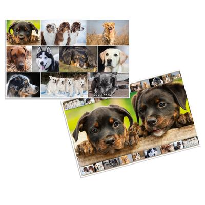 Herma 19378 Schreibunterlage Hunde 55 x 35 cm(P)