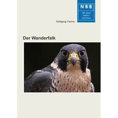 Der Wanderfalk, Taschenbuch von Wolfgang Fischer, Neue Brehm-Bücherei UG (haftungsbeschränkt), 978-3-89432-454-4