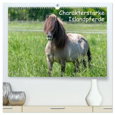 Charakterstarke Islandpferde (hochwertiger Premium Wandkalender 2027 DIN A2 quer), Kunstdruck in Hochglanz