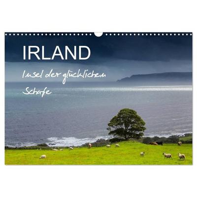 IRLAND - Insel der glücklichen Schafe (Wandkalender 2027 DIN A3 quer), CALVENDO Monatskalender