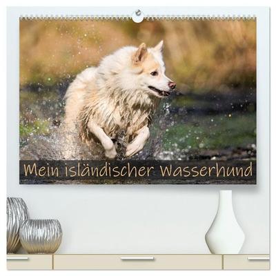 Mein isländischer Wasserhund (hochwertiger Premium Wandkalender 2027 DIN A2 quer), Kunstdruck in Hochglanz