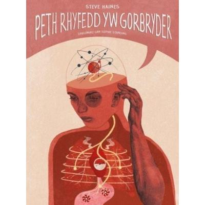 Darllen yn Well: Peth Rhyfedd yw Gorbryder, Taschenbuch von Steve Haines, Graffeg Limited, 978-1-80258-330-4