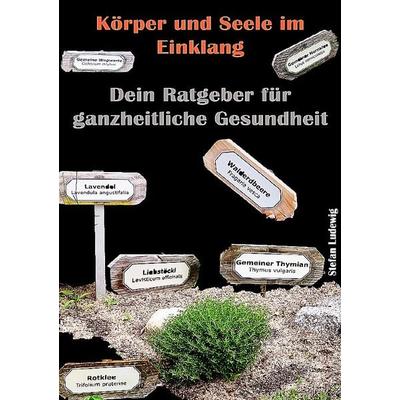 Körper und Seele im Einklang I Dein Ratgeber für ganzheitliche Gesundheit, Taschenbuch von Viktor Sterling, Epubli, 978-3-8197-9604-3