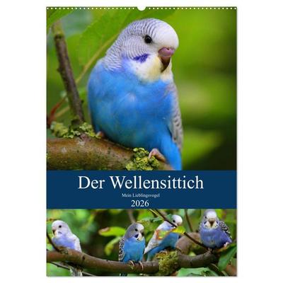 Der Wellensittich - Mein Lieblingsvogel (Wandkalender 2026 DIN A2 hoch), CALVENDO Monatskalender
