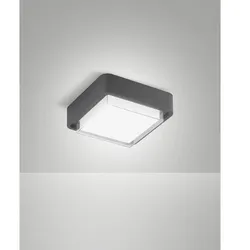 Fabas Luce LED Außendeckenleuchte DIUK, 12W, 3000K, 1620lm, IK08, IP65, dunkelgrau FAB-6548-61-294