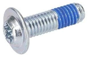 Bosch Professional Schroef met platte kop en Torx-aansluiting 1613490010