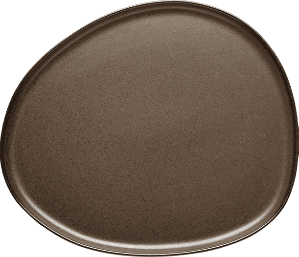 Aida Raw Organic Middagstallerken - Metallic Brown