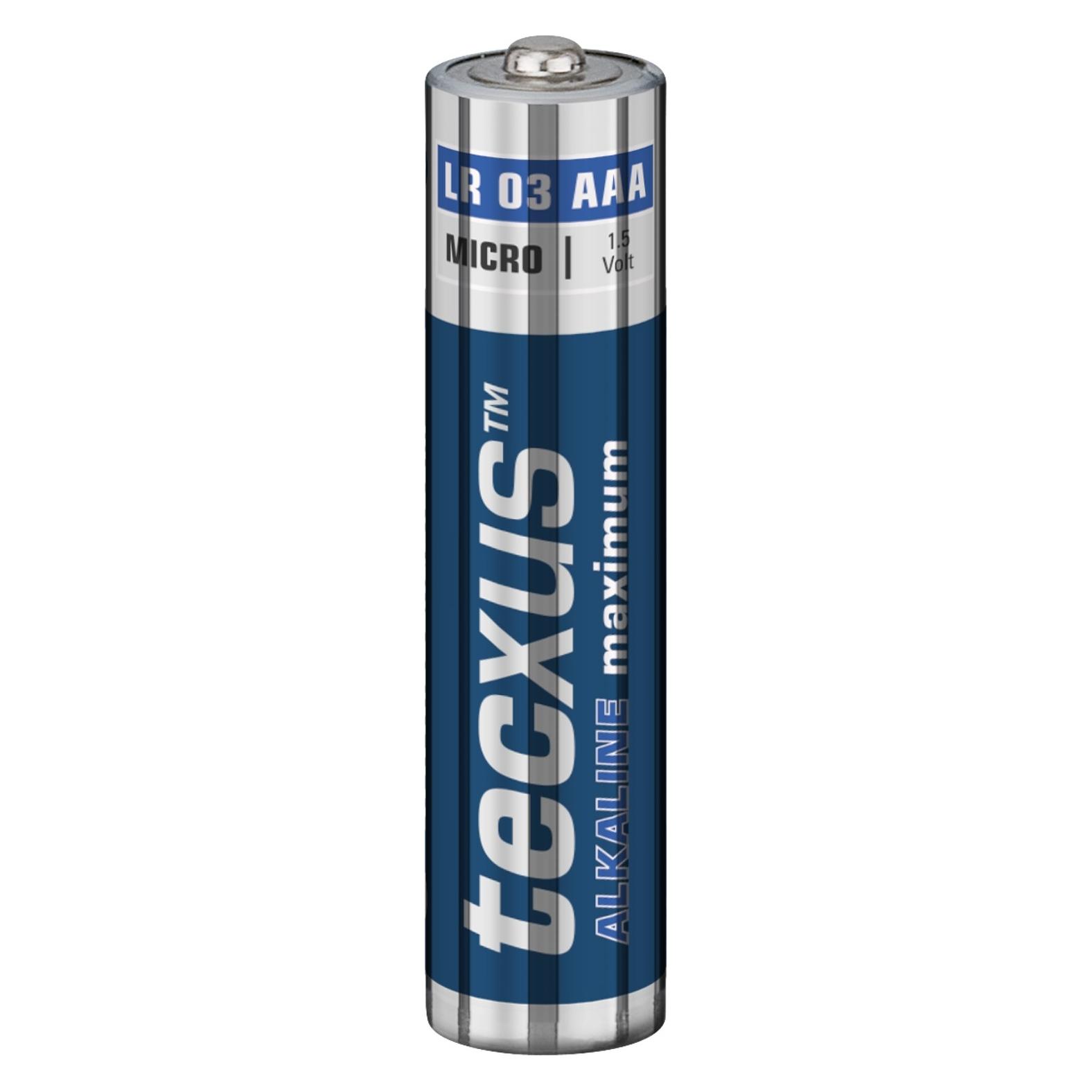 Tecxus Alkaline Maximum - Batterie 10 x AAA (10 Stk., AAA, 1200 mAh) (23778)