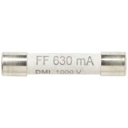 Fluke 5280054 FP-SMFT Sicherung 2 St.
