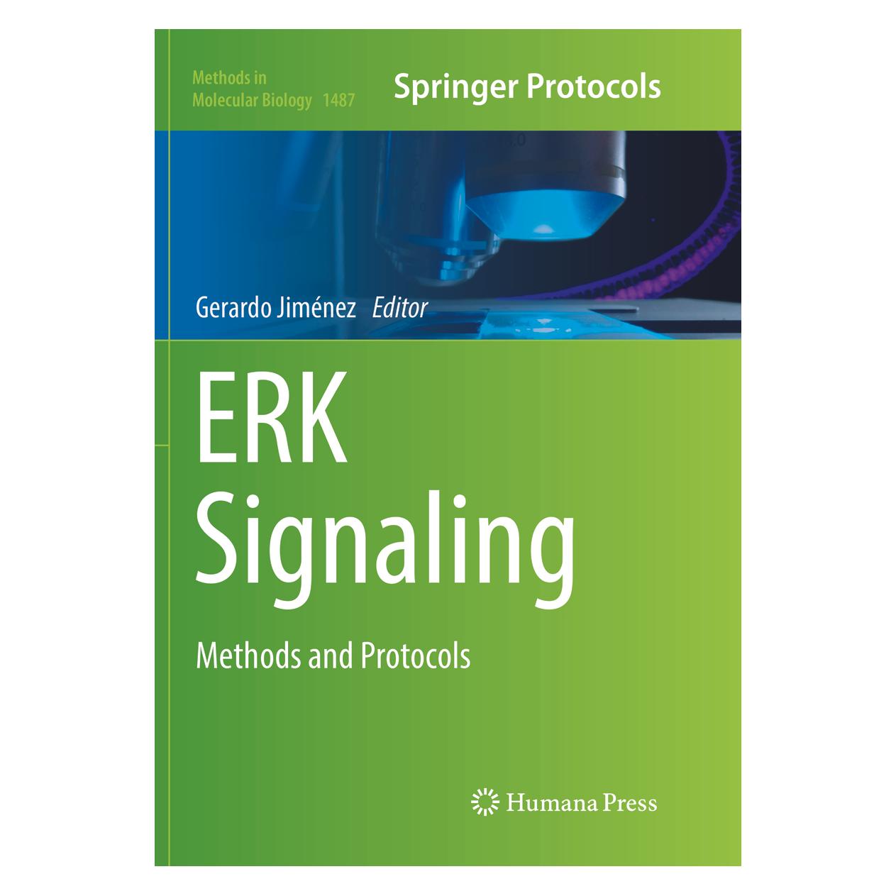 Springer ERK Signaling (Englisch, Softcover, Gerardo Jimenez) (56004807)