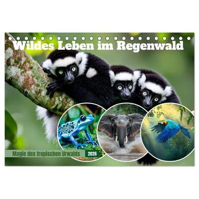Wildes Leben im Regenwald (Tischkalender 2026 DIN A5 quer), CALVENDO Monatskalender