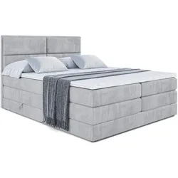 BOXSPRINGBETT AURA KING - 160 x 200 - H3/H4 - Hellgrau