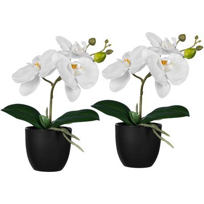 Kunstorchidee CREATIV GREEN "Orchidee Phalaenopsis", weiß, H:23cm, Kunststoff, Kunstpflanzen, mit naturgetreuen Blüten