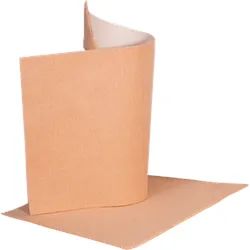 PEDIBAEHR Selbstklebendes Schaumpolster 2 Stk.