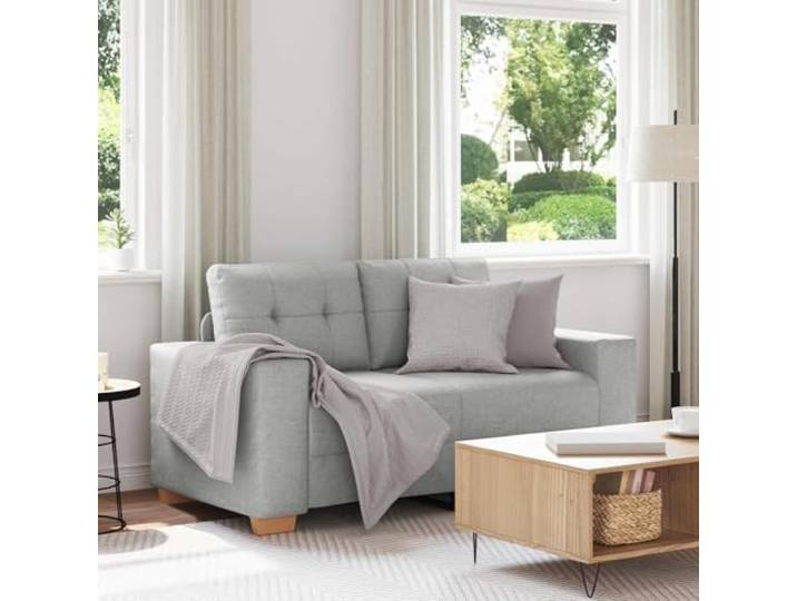Zweisitzer-Sofa Wolkengrau 160 cm Stoff Polyester-Rückmaterial,Metall- und Sperrholzrahmen,Kunststofffüße,für Wohnzimmer drinnen