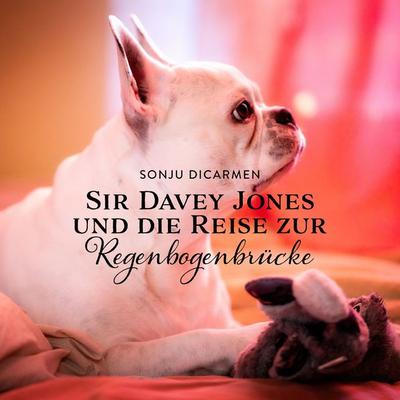 Sir Davey Jones und die Reise zur Regenbogenbrücke - Sonju DiCarmen,Jasmin Weidner, Audio, 9783958766891