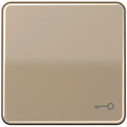 Jung Wippe Symbol TÜR gold brz CD 590 T GB