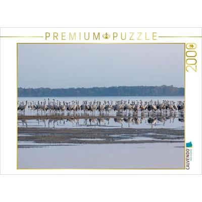 CALVENDO Puzzle Eine Reihe von Kranichen spiegeln sich im Wasser | 2000 Teile Lege-Größe 90 × 67 cm Foto-Puzzle für glückliche Stunden