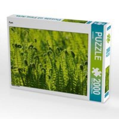 CALVENDO Puzzle Farn 2000 Teile Lege-Größe 90 x 67 cm Foto-Puzzle Bild von kattobello